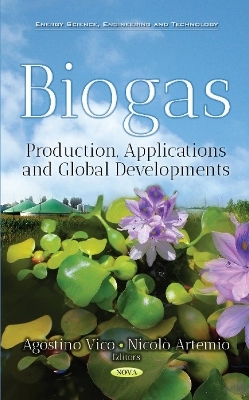 Biogas - 