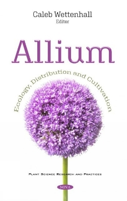 Allium - 
