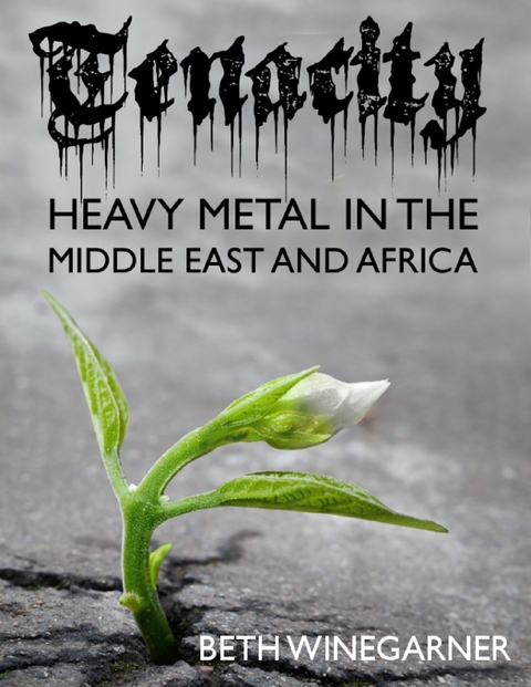 Tenacity:  Heavy Metal In the Middle East and Africa -  Beth Winegarner