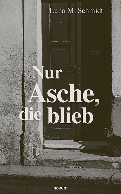 Nur Asche, die blieb - Luna Marie Schmidt
