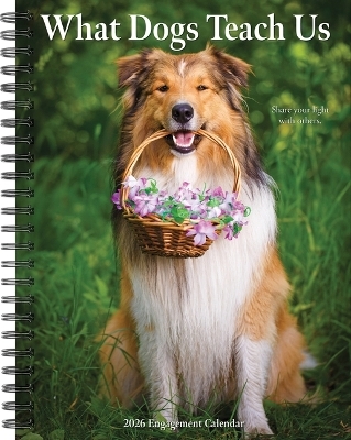 What Dogs Teach Us 2026 6.5 X 8.5 Engagement Calendar -  Willow Creek Press