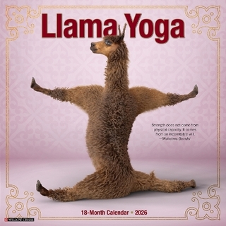 Llama Yoga 2026 12 X 12 Wall Calendar