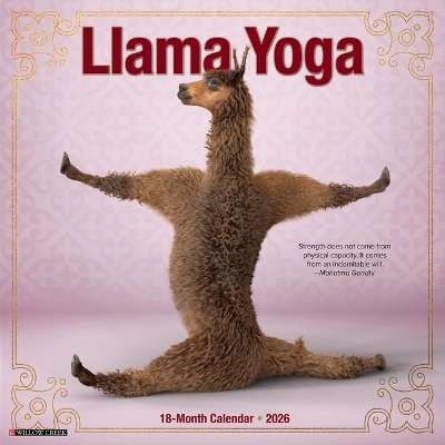 Llama Yoga 2026 12 X 12 Wall Calendar -  Willow Creek Press