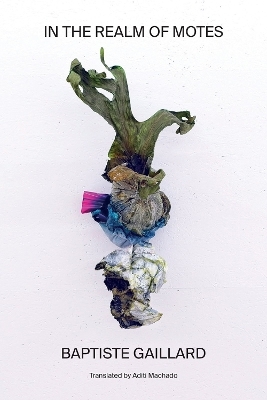 In the Realm of Motes - Baptiste Gaillard, Aditi Machado