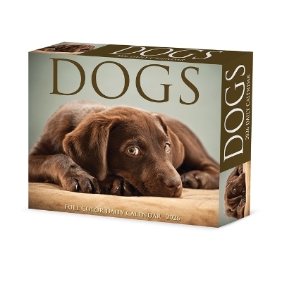 Dogs 2026 5.4 X 6.2 Box Calendar -  Willow Creek Press