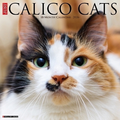 Calico Cats 2026 12 X 12 Wall Calendar -  Willow Creek Press