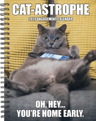 Cat-Astrophe 2026 6.5 X 8.5 Engagement Calendar -  Willow Creek Press