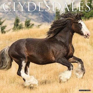 Clydesdales 2026 12 X 12 Wall Calendar