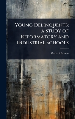 Young Delinquents; a Study of Reformatory and Industrial Schools - Mary G Barnett