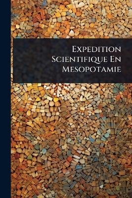 Expedition Scientifique En Mesopotamie -  Anonymous