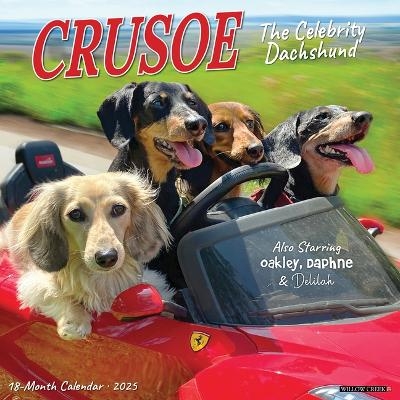 Crusoe the Celebrity Dachshund 2026 12 X 12 Wall Calendar - 