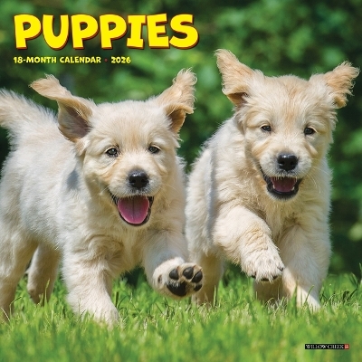 Puppies 2026 7 X 7 Mini Wall Calendar -  Willow Creek Press