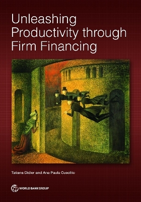 Unleashing Productivity Through Firm Financing - Tatiana Didier, Ana Paula Cusolito