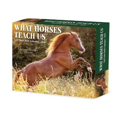 What Horses Teach Us 2026 5.4 X 6.2 Box Calendar -  Willow Creek Press
