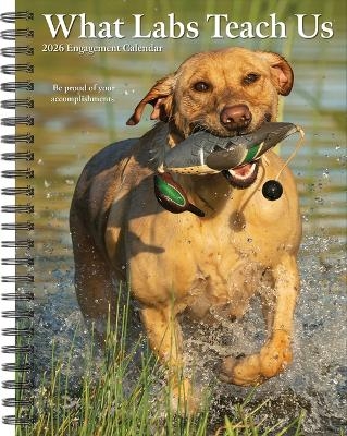 What Labs Teach Us 2026 6.5 X 8.5 Engagement Calendar