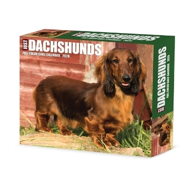 Dachshunds 2026 5.4 X 6.2 Box Calendar -  Willow Creek Press