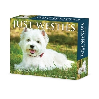 Westies 2026 5.4 X 6.2 Box Calendar