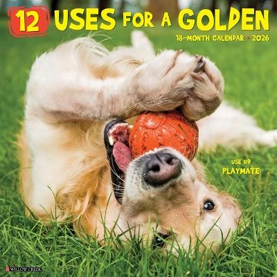 12 Uses for a Golden 2026 12 X 12 Wall Calendar -  Willow Creek Press