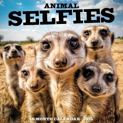 Animal Selfies 2026 12 X 12 Wall Calendar -  Willow Creek Press