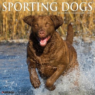 Sporting Dogs 2026 12 X 12 Wall Calendar