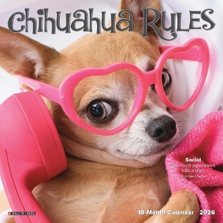 Chihuahua Rules 2026 7 X 7 Mini Wall Calendar