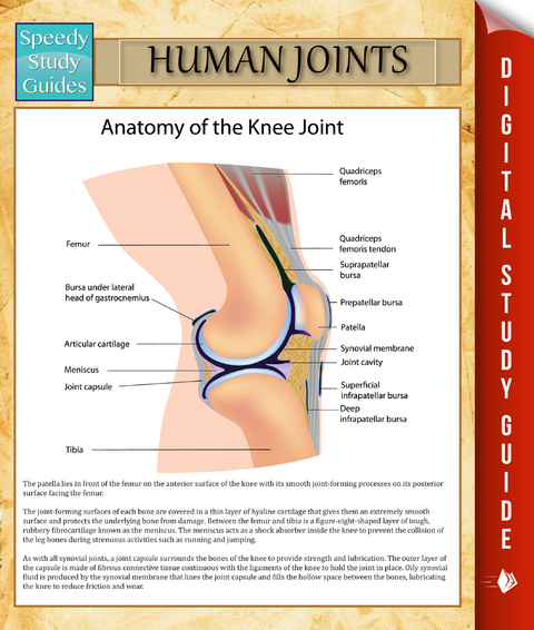 Human Joints - Speedy Publishing