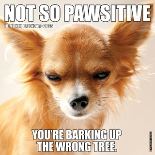 Not So Pawsitive 12 X 12 Wall Calendar