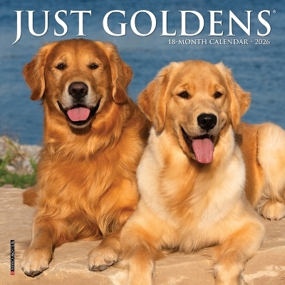 Just Goldens 2026 7 X 7 Mini Wall Calendar -  Willow Creek Press