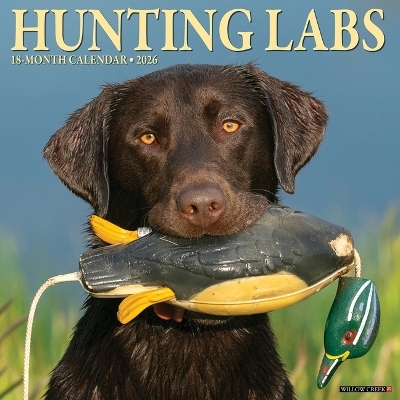 Hunting Labs 2026 12 X 12 Wall Calendar -  Willow Creek Press