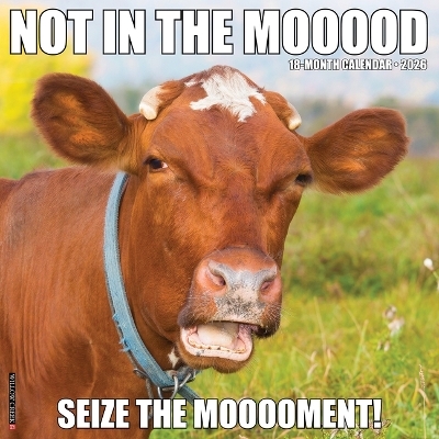 Not in the Mooood 2026 12 X 12 Wall Calendar -  Willow Creek Press