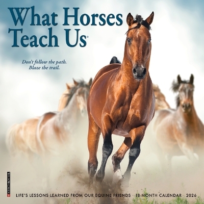 What Horses Teach Us 2026 7 X 7 Mini Wall Calendar -  Willow Creek Press