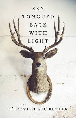 Sky Tongued Back With Light