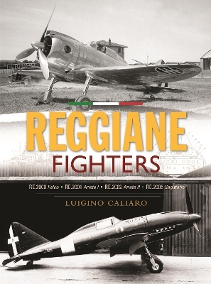 Reggiane Fighters - Luigino Caliaro