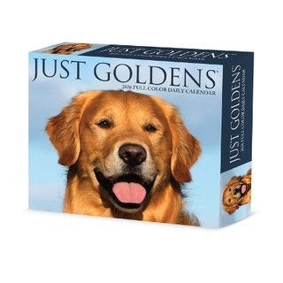 Goldens 2026 5.4 X 6.2 Box Calendar