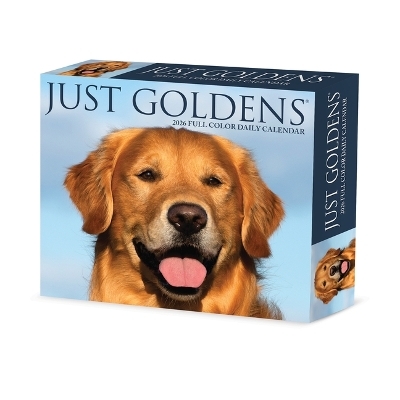 Goldens 2026 5.4 X 6.2 Box Calendar -  Willow Creek Press