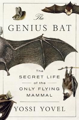 The Genius Bat - Yossi Yovel