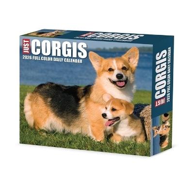 Corgis 2026 5.4 X 6.2 Box Calendar -  Willow Creek Press