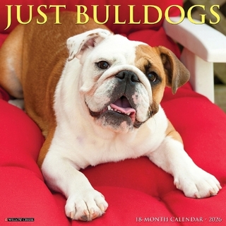 Bulldogs 2026 12 X 12 Wall Calendar