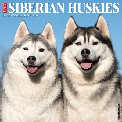 Siberian Huskies 2026 12 X 12 Wall Calendar -  Willow Creek Press