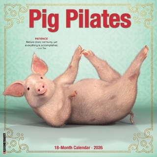 Pig Pilates 2026 12 X 12 Wall Calendar
