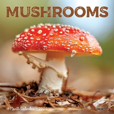 Mushrooms 2026 7 X 7 Mini Wall Calendar -  Willow Creek Press