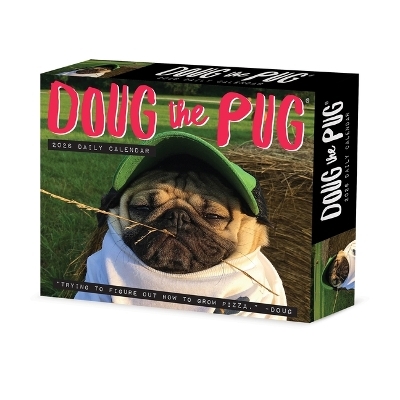 Doug the Pug 2026 5.4 X 6.2 Box Calendar-USA - 