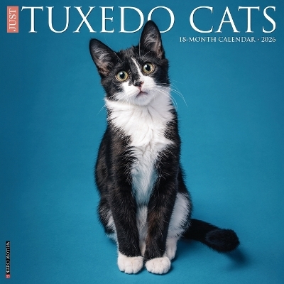 Tuxedo Cats 2026 12 X 12 Wall Calendar -  Willow Creek Press