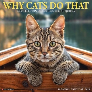 Why Cats Do That 2026 12 X 12 Wall Calendar