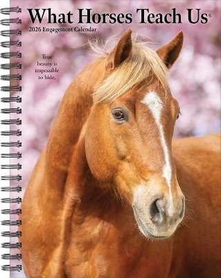 What Horses Teach Us 2026 6.5 X 8.5 Engagement Calendar -  Willow Creek Press