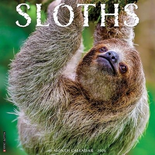 Sloths 2026 12 X 12 Wall Calendar