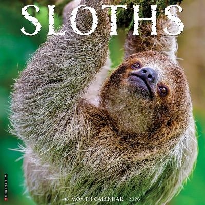 Sloths 2026 12 X 12 Wall Calendar -  Willow Creek Press