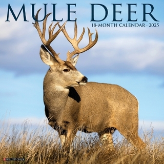 Mule Deer 2026 12 X 12 Wall Calendar