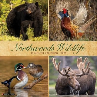 Northwoods Wildlife 2026 12 X 12 Wall Calendar