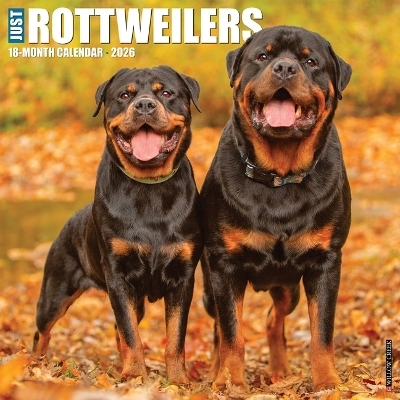 Rottweilers 2026 12 X 12 Wall Calendar -  Willow Creek Press